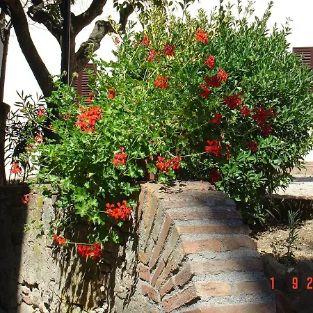 Fattoria Casanova Vakantieboerderij Palaia